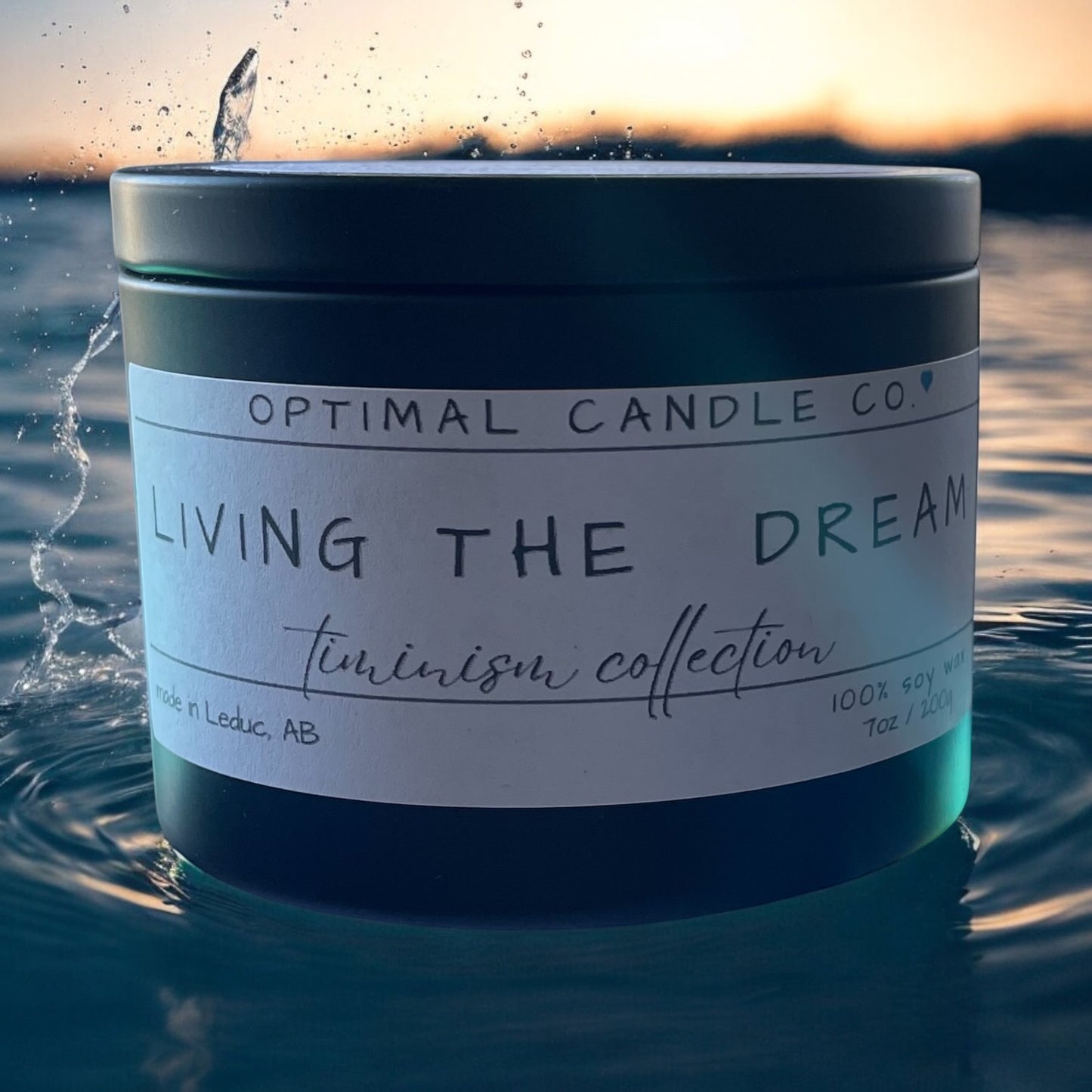 Living the Dream - Timinism Collection